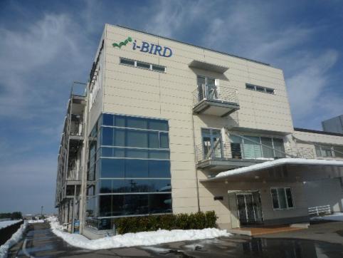 i-bird