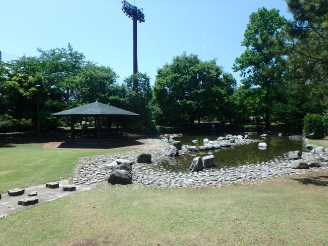 野々市中央公園　池