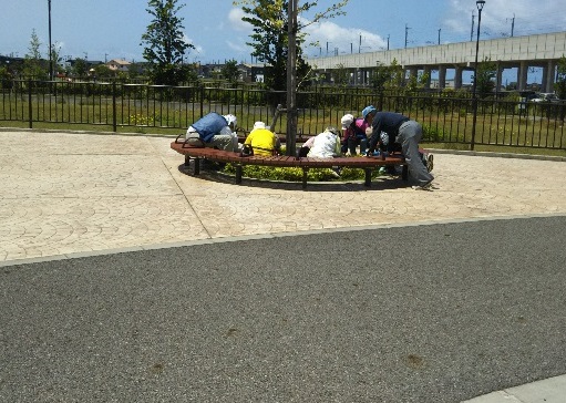 つばきの郷公園　活動の様子２