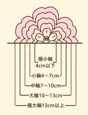 花のサイズ