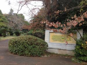 小石川植物園