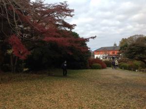 小石川植物園