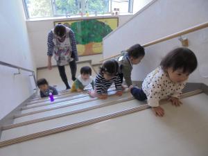 ハイハイをして階段を上がりプレイルームに行く1歳児