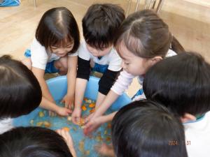 みかん湯に手を入れて温まる4歳児