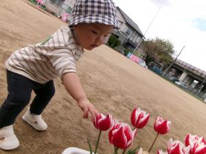 ちゅうりっぷを指さす１歳児