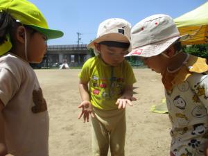 ダンゴ虫を見つけて友達に知らせる２歳児
