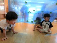 １歳児