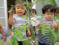 うさぎ組　野菜