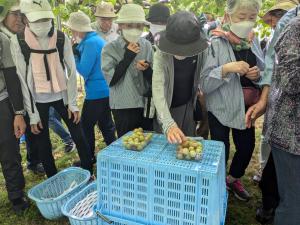 交流会