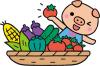 夏野菜イラスト