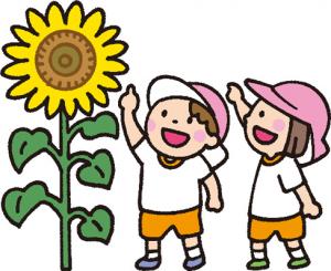 夏イラスト