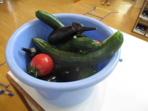 たくさんの夏野菜