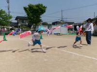 ５歳児　こいのぼりと一緒に走ったよ