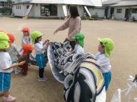 ３歳児　こいのぼり大きいなあ