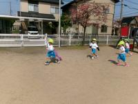 ３歳児　こいのぼりと一緒に走ったよ