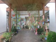 保育園アプローチ　笹飾りきれいだったよ