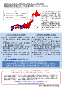チラシ裏面