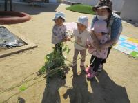 お芋対子どもの綱引きだよ