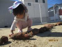 おいもいくつあるかな？