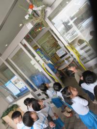 しめ飾りを見る子どもたち