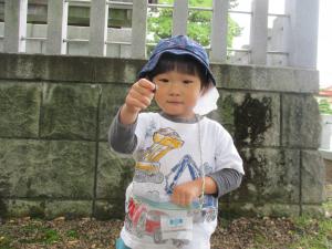 布市神社でどんぐりを見つけた２歳児
