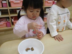 散歩で見つけたどんぐりでマラカスを作る１歳児