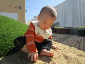 園庭で砂の感触を楽しむ０歳児