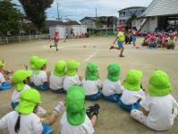 3歳児　運動会　大きいくみさんのリレーの応援をしたよ