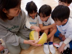 祖父母宅から送られてきた晩白柚を触ってみる4歳児