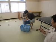 缶つみ開始です