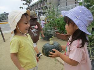 かぼちゃの受け渡しをする２歳児