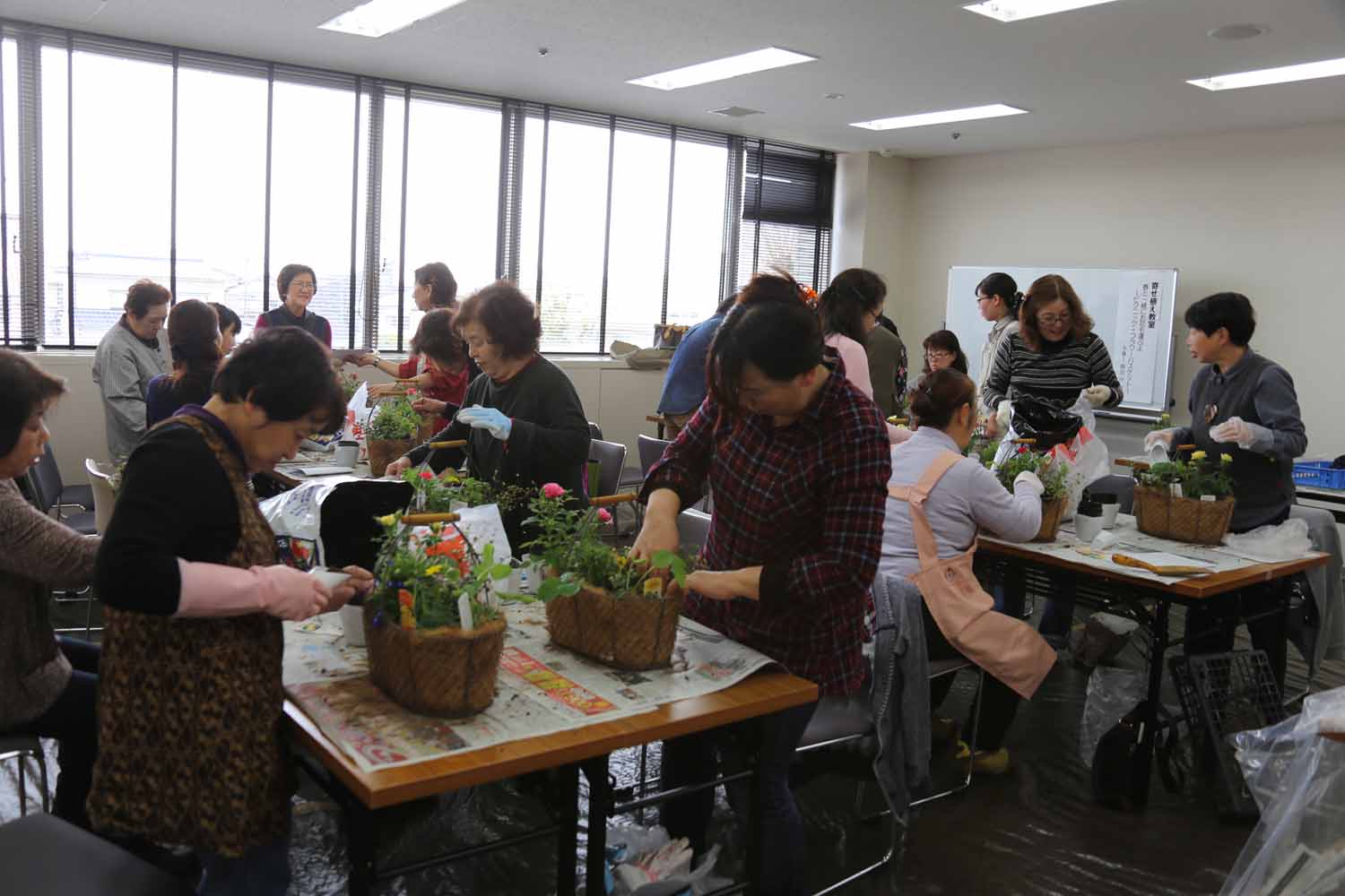 花の寄せ植え