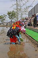 献穀田御田植式の様子の画像11