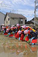 献穀田御田植式の様子の画像13