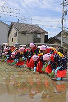 献穀田御田植式の様子の画像13