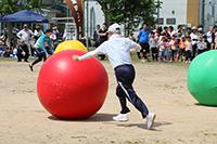 運動会の様子の画像6