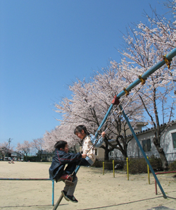 下林さくら公園の桜